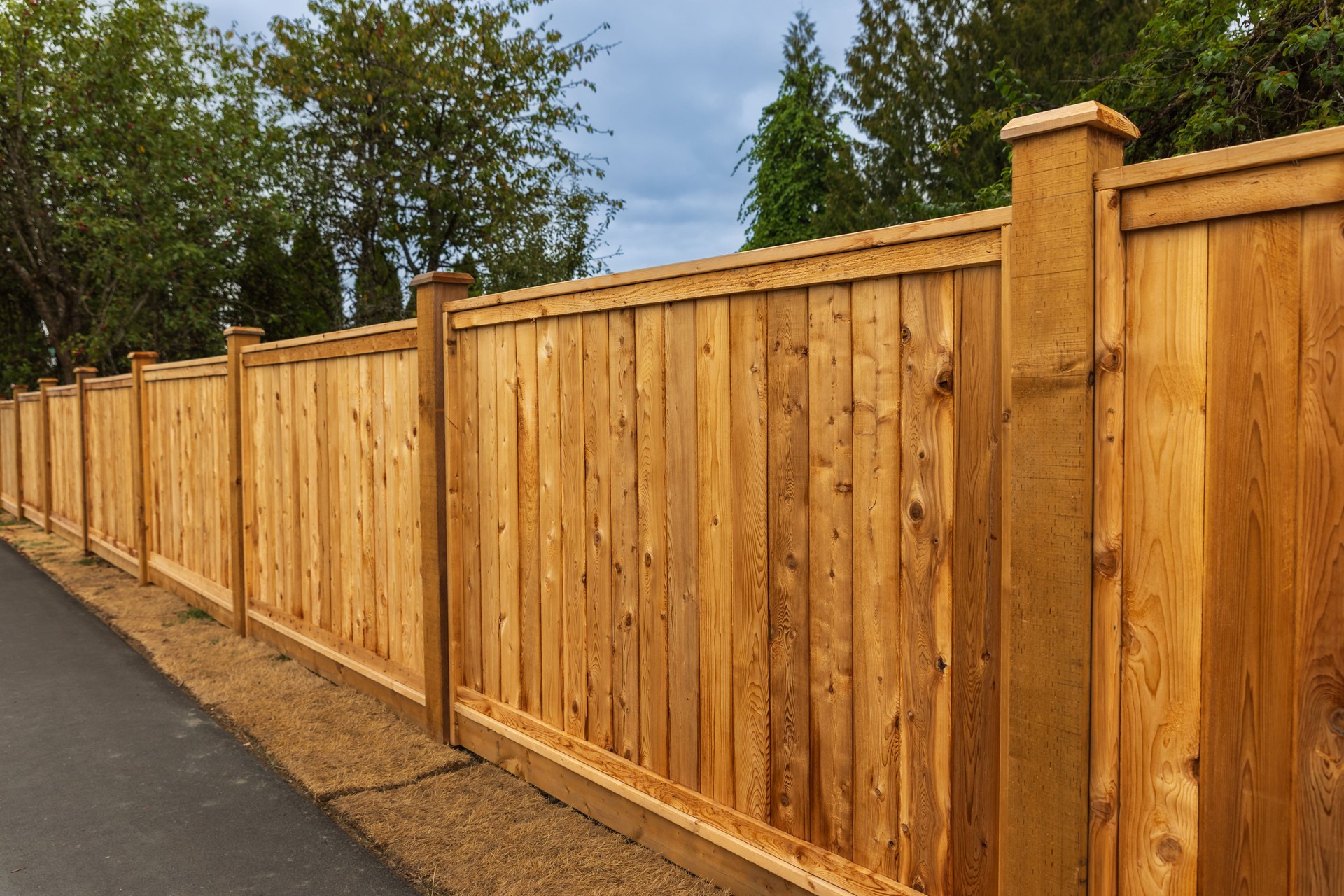 Big new wooden fence around the house and trees. . Street photo. Fencing and gates.